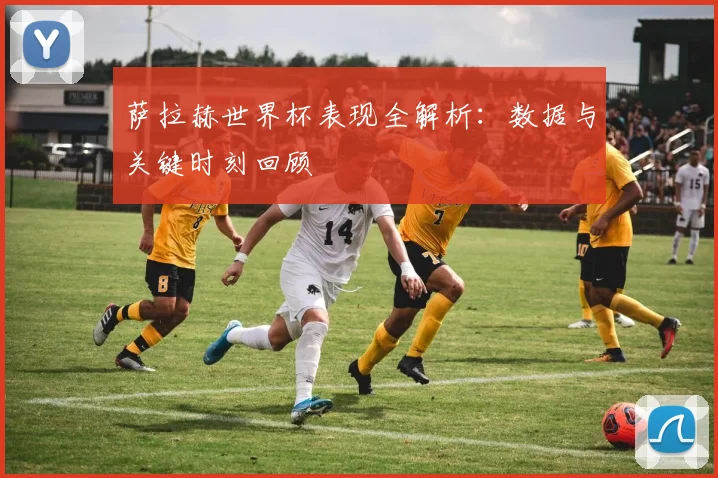 萨拉赫世界杯表现全解析：数据与关键时刻回顾